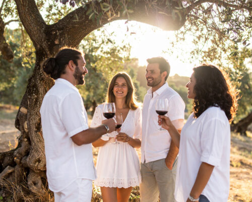 Tour de Vinos y Olivas