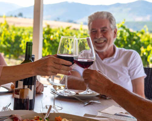 Vinos en Valle de Uco