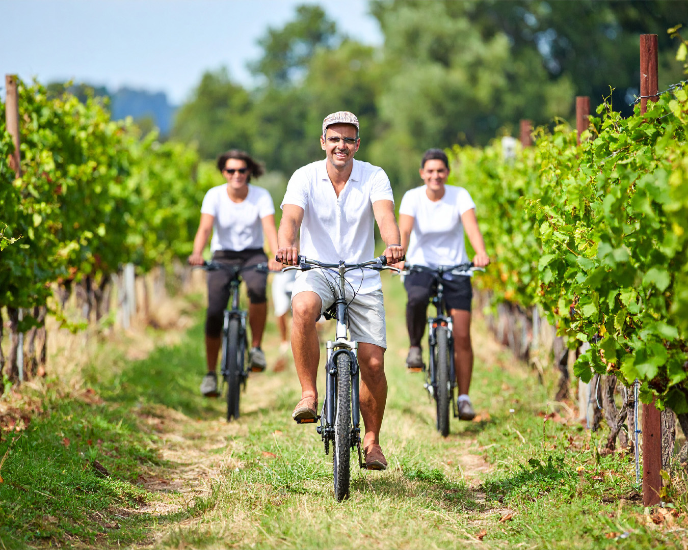 Recorridos en Bicicleta por Bodegas